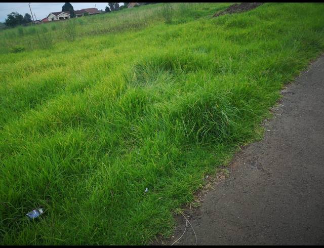 600M² VACANT LAND FOR SALE IN HOWICK WEST